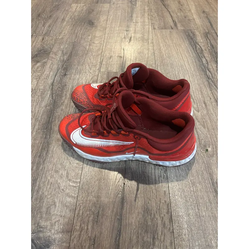 Men's Adult Size M 11.5 (W 11.5) Nike Shoes (Used)