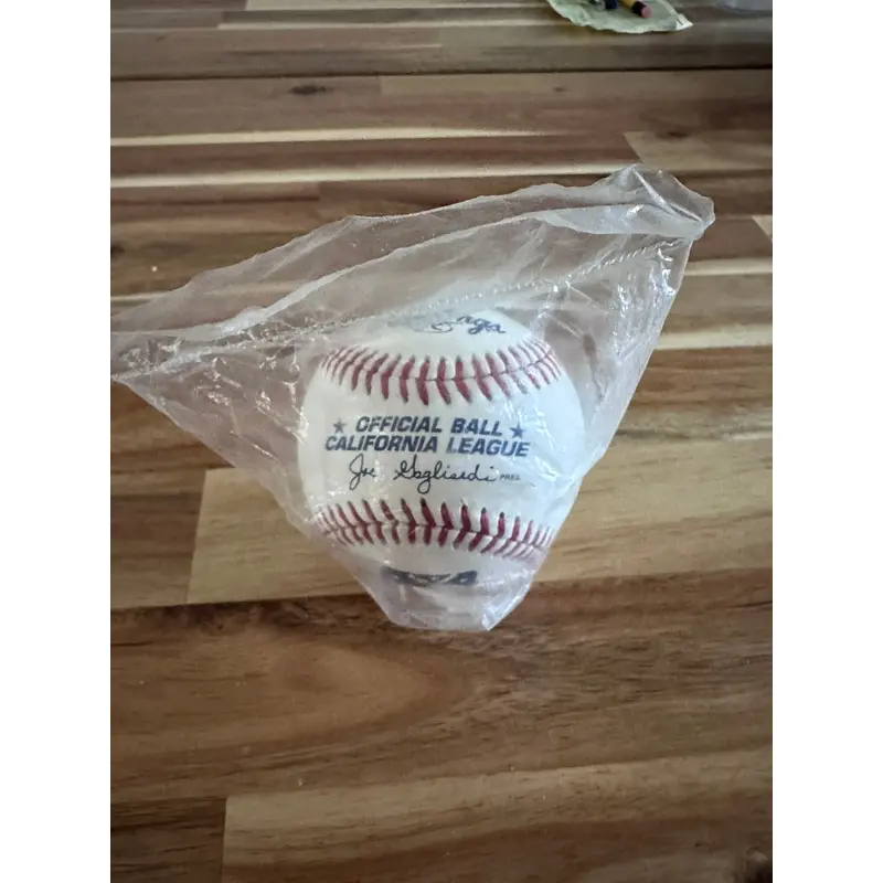 Official Minor League Baseball California league