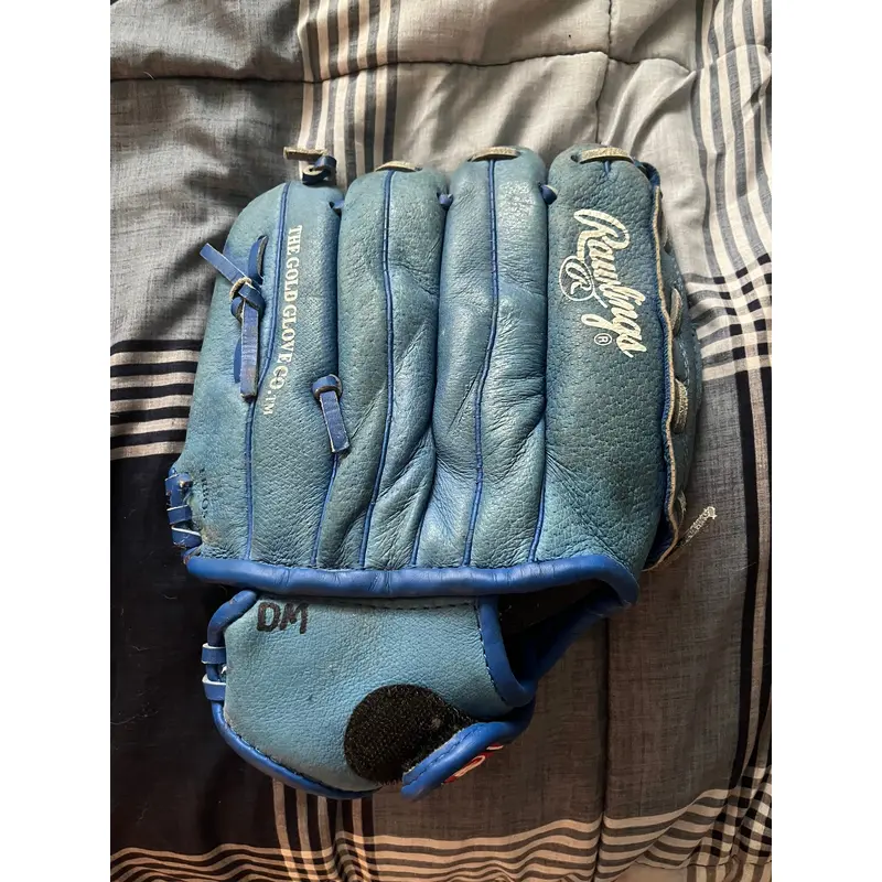 Raulings baseball glove