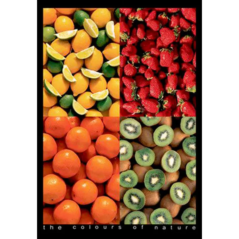 Five Fruits "The Colours of Nature" Food Kitchen Poster - Eurographics Inc.