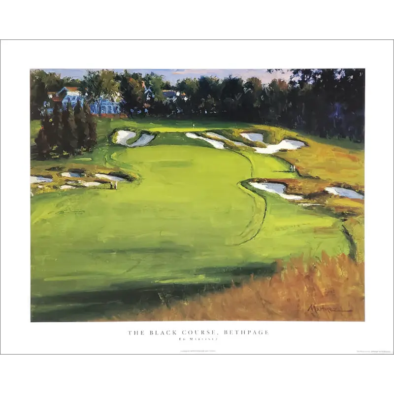 The Black Course #18, Bethpage State Park Golf Course 16x20 Poster Print - Image Source