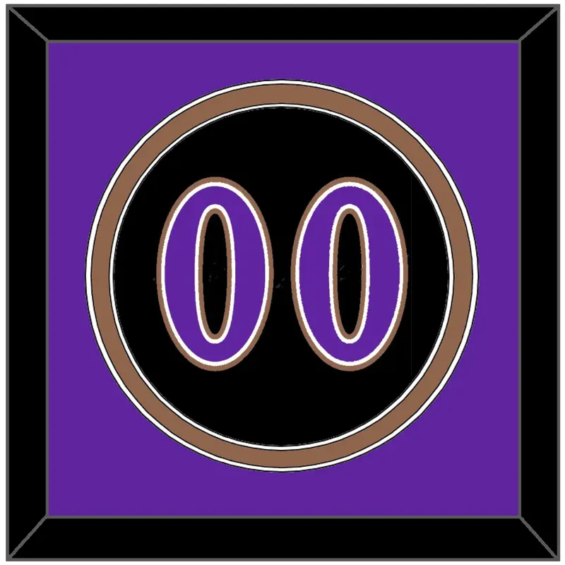 Arizona Number - Alternate Black (2001-2006) - Double Mat 3