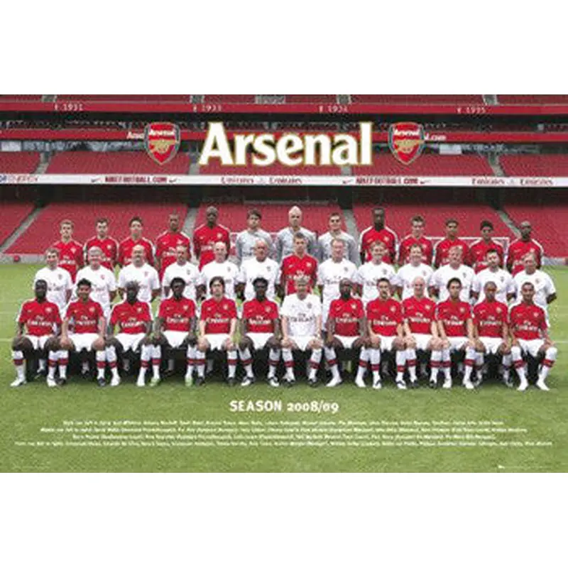 Arsenal FC Official Team Portrait 2008/09 Poster - GB Eye