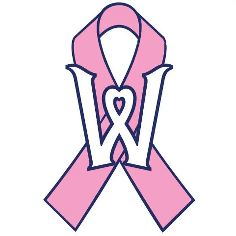 Worcester Red Sox Pink BCA Pin