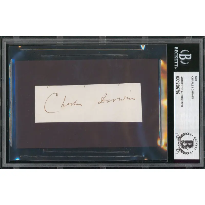 Charles Darwin Authentic Signed 1x3.75 Cut Signature Autographed BAS Slabbed