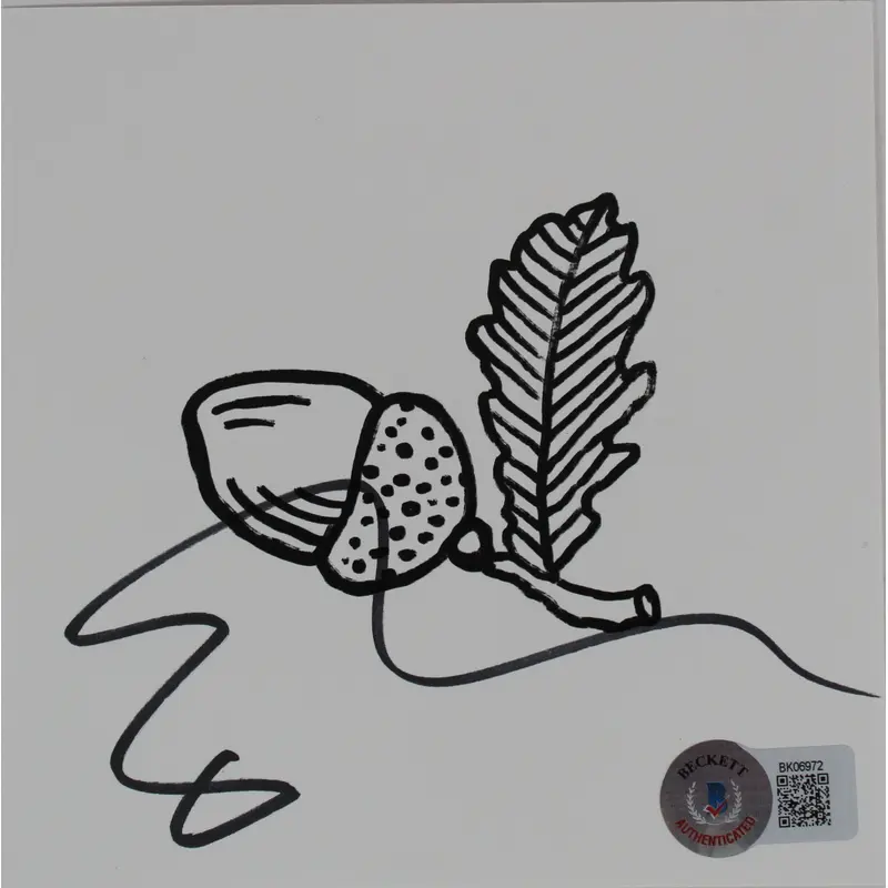 Ed Sheeran Authentic Signed Autumn Variations Cd Insert W/ Disk BAS 2