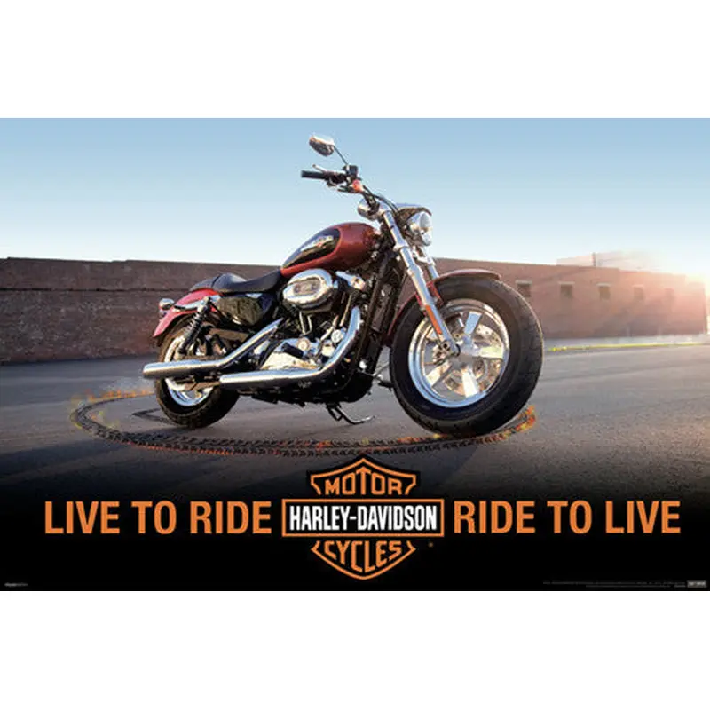 Harley-Davidson Motorcycles "Flaming Skid" Poster - Pyramid America