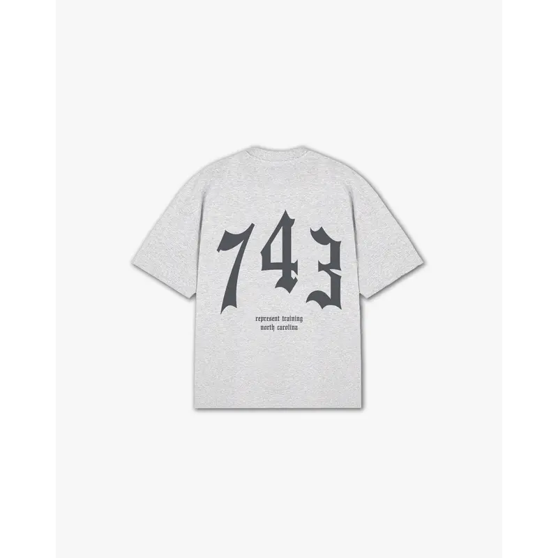 THE (743) VANQUISH TRAINING V2 ELITE TEE