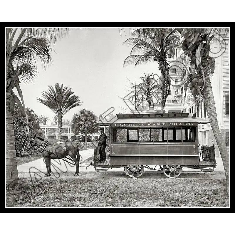 1905 Palm Beach Florida 8X10 Photo - Horse Drawn Trolley Car - 2493