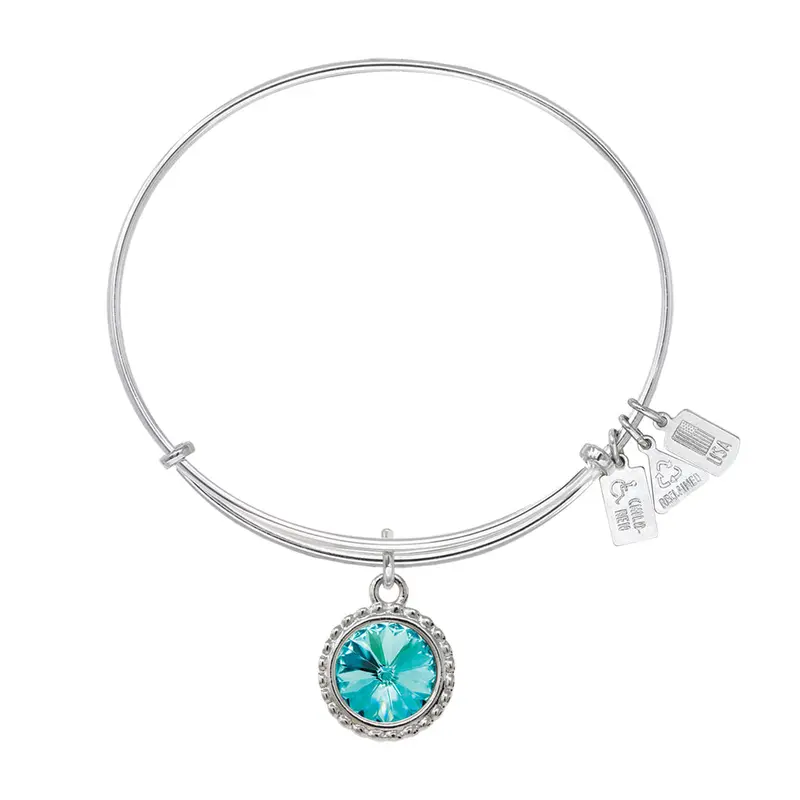 Earth's Elements CARIBBEAN Charm Bangle