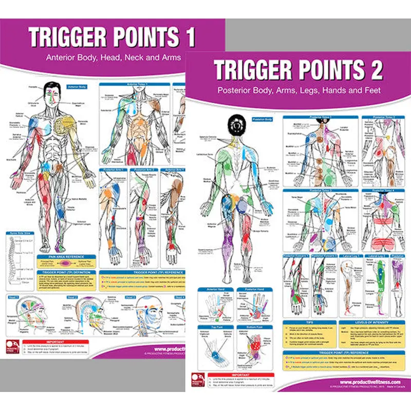 Trigger Points Massage Therapy Fitness Anatomy 2-Poster Wall Chart Set - PFP