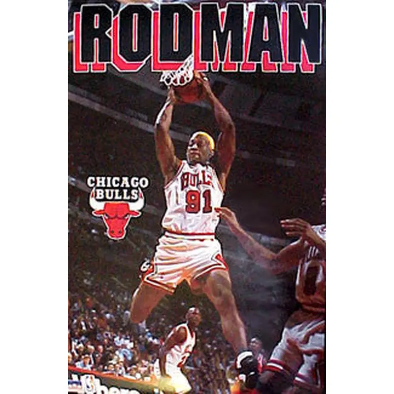 Dennis Rodman "Rebound" Chicago Bulls Action Poster - Starline 1996