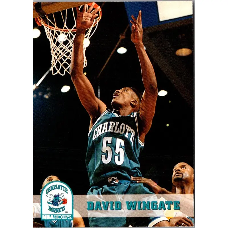 1993 Hoops David Wingate #310