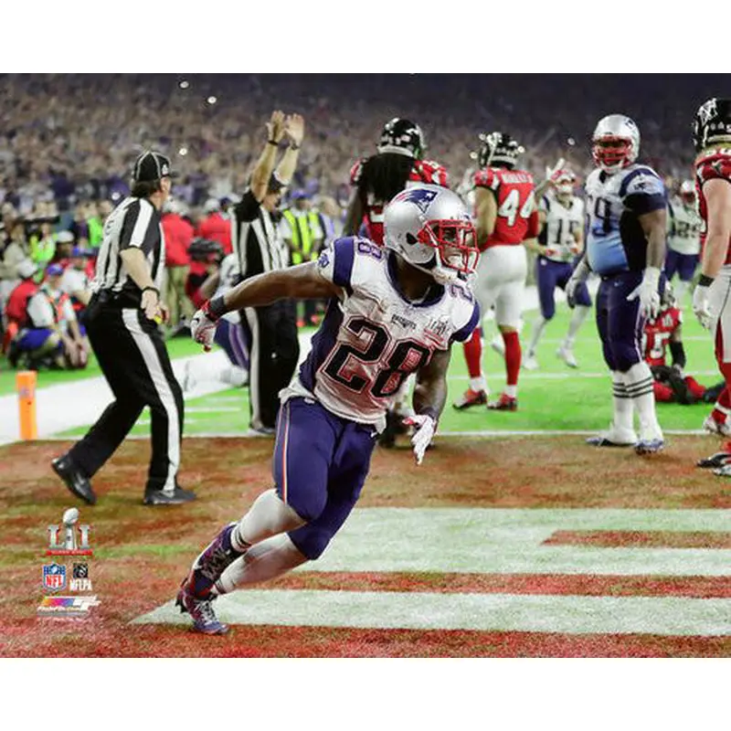 James White Super Bowl LI Game-Winning TD Patriots Premium Poster - Photofile 16x20