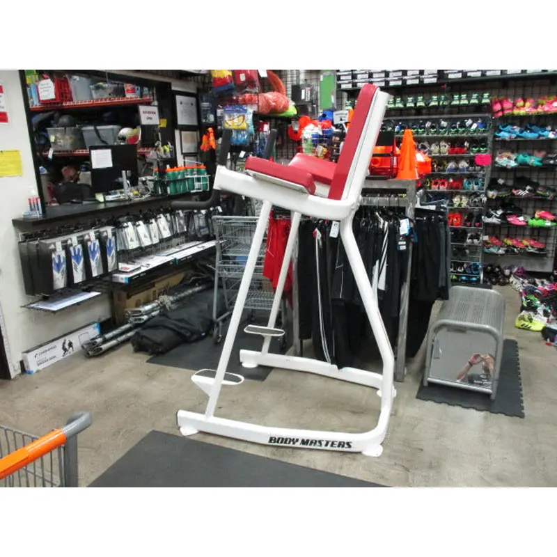 Used Body Master Vertical Knee Raise, Dip Station