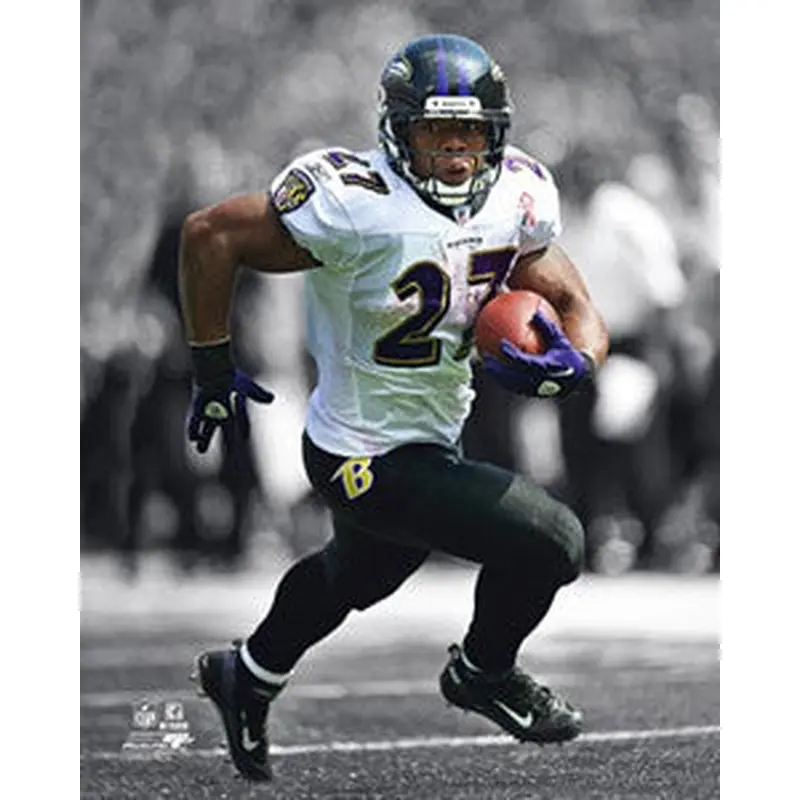 Ray Rice "Spotlight" (2011) - Photofile 16x20