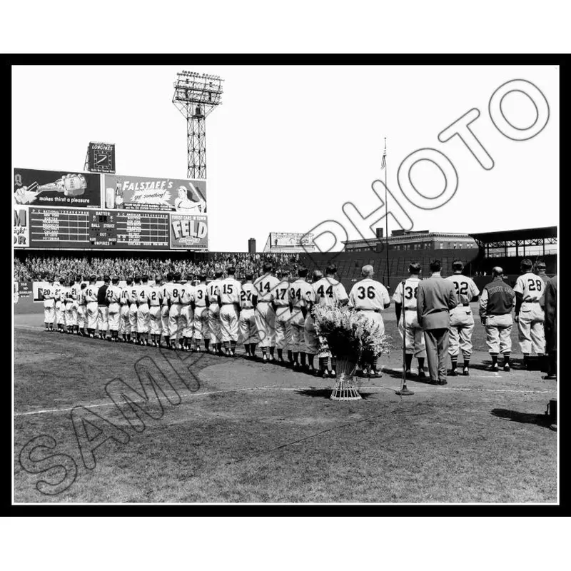 1951 Sportsman's Park 8X10 Photo - St. Louis Cardinals Browns - 1117