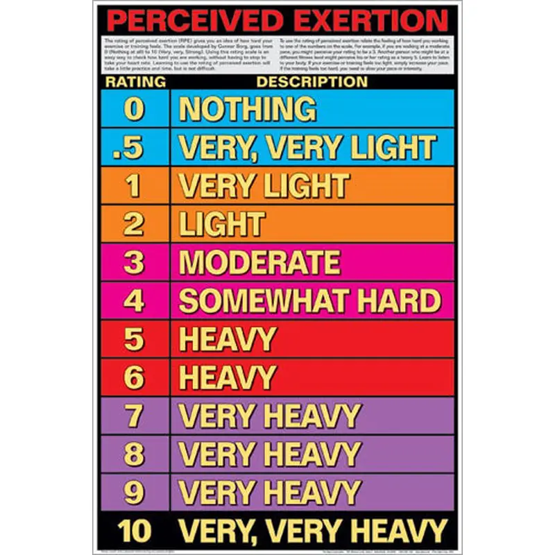 Cardio Workout Perceived Exertion Professional Fitness Wall Chart Poster - Fitnus Corp.