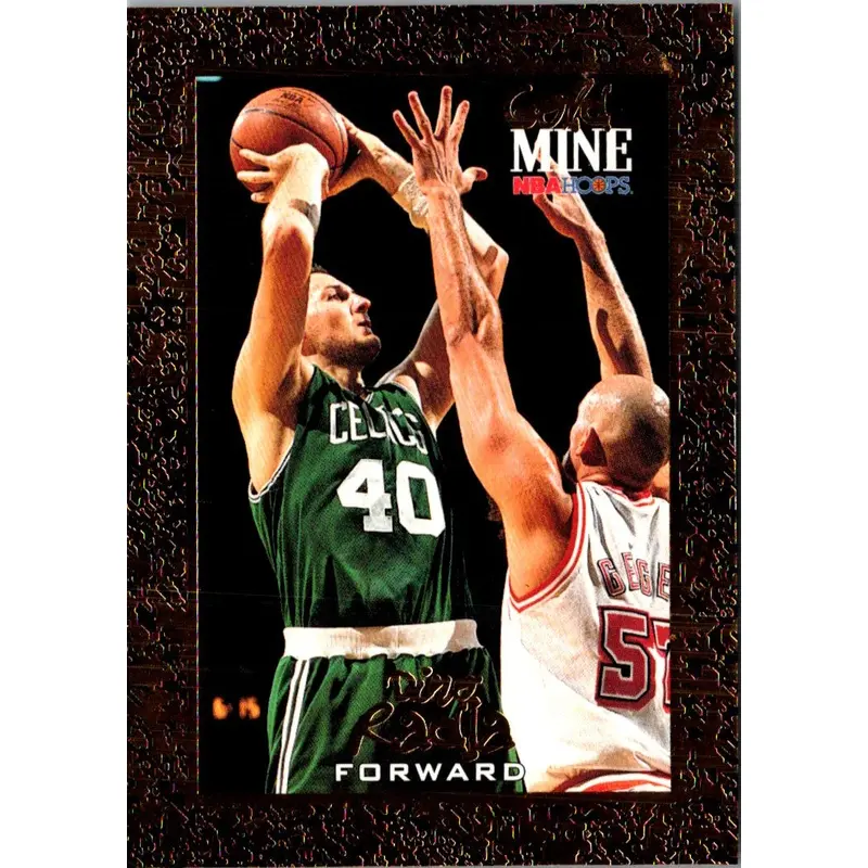 1995 SkyBox Dino Radja #5