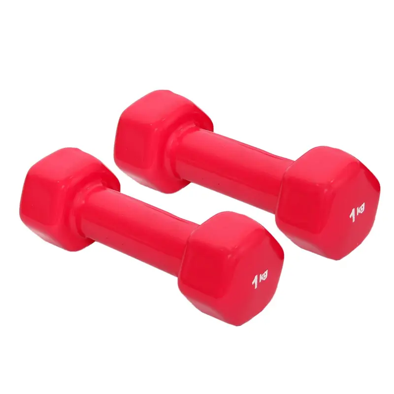 RXN Vinyl Dumbbells - Fitness Gears | Kibi Sports