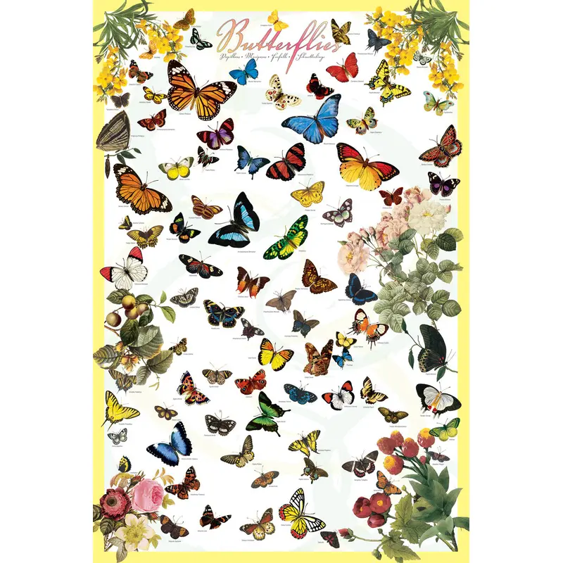 The Butterflies Poster (70 Species) Lepidopterology Wall Chart Poster - Eurographics Inc.