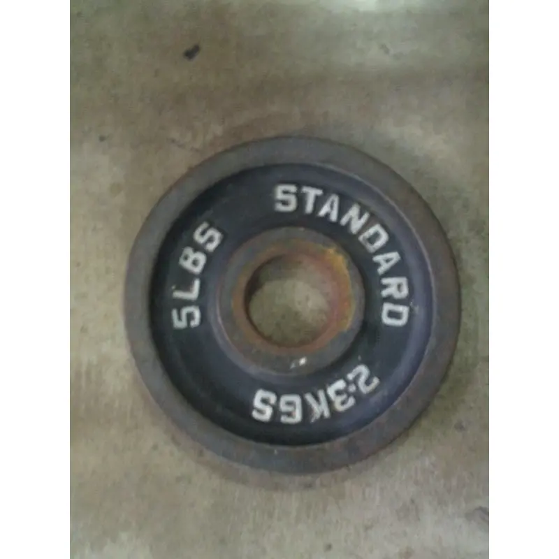Used 5lb Olympic Weight Plate