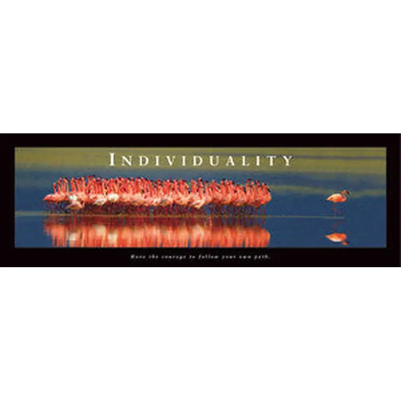 Pink Flamingos "Individuality" Motivational Poster - Front Line 12x36